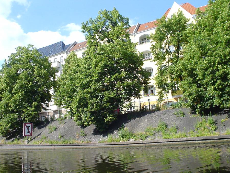 Galeriebild