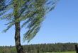 Tourenbild